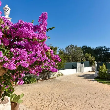 Villa Torre San Martino *